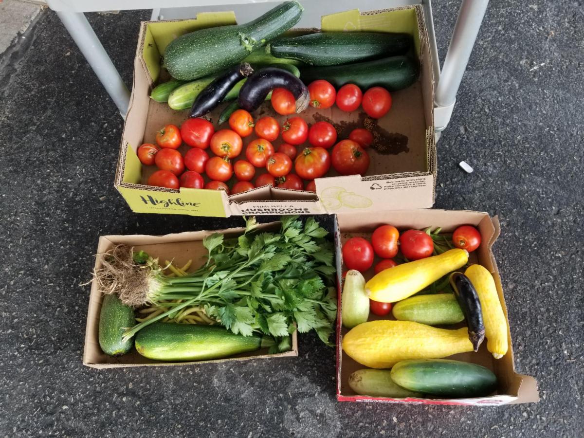 September Newsletter